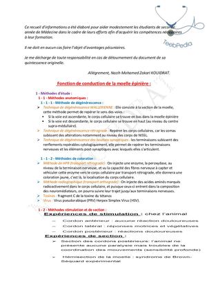 2 Fonction De Conduction De La Moelle Spinale