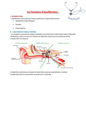 Fonction D_équilibration