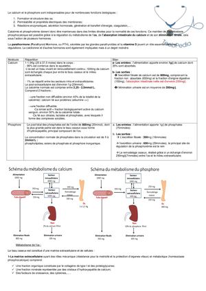 Régulation Phosphocalcique