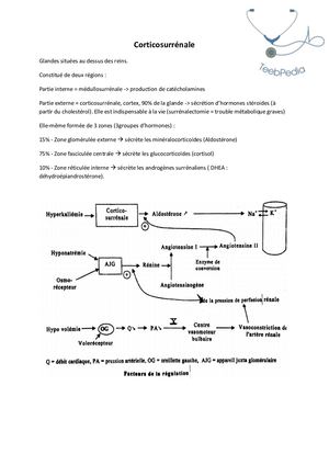 Corticosurrénale Résumé.