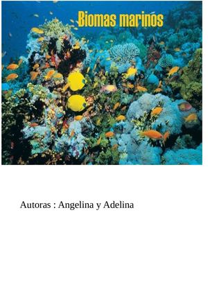 Bioma Marino A Y A