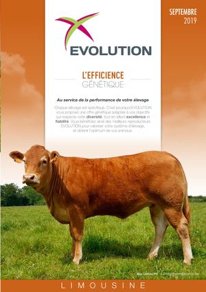 PAP Limousine - Sept. 2019