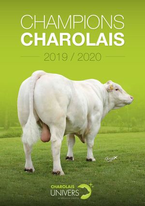Champion Charolais Univers 2019 2020