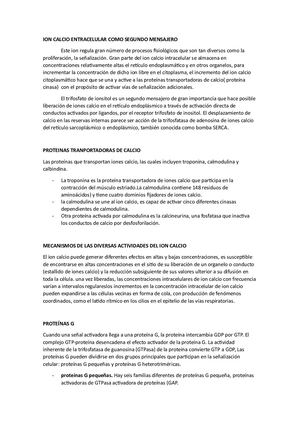 Ion Calcio Entracelular Como Segundo Mensajero