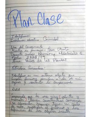 Plan Clase Partes De La Planta