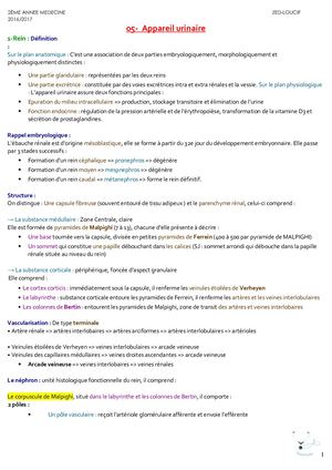Histologie Appareil Urinaire