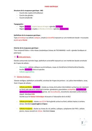 PAROI GASTRIQUE