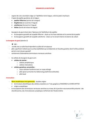 Organe De La Gustation