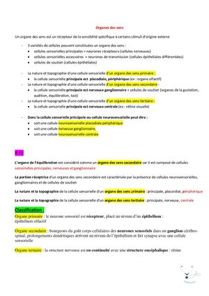 Organes Des Sens