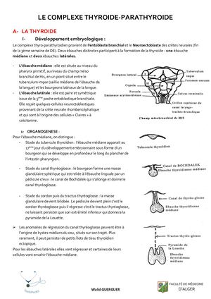 4- Le Complexe Thyro Parathyroidien