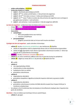 Pancréas Endocrine