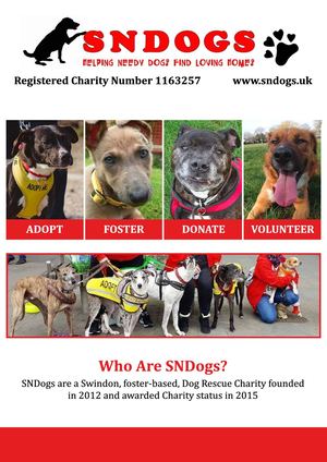 Sn Dogs E Brochure 1