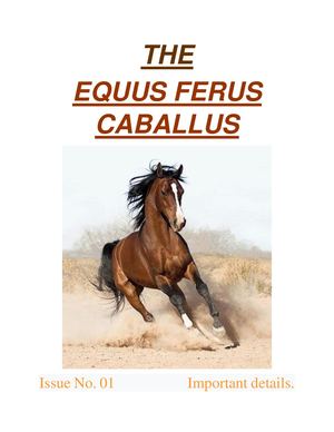 The Equus Ferus Caballus