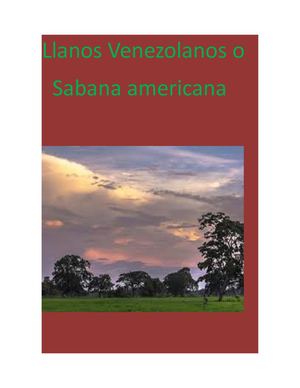 Sabana H Y M