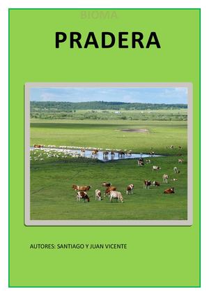 Pradera Juan Y Santi