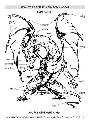 00 How To Describe A Dragon Vocab
