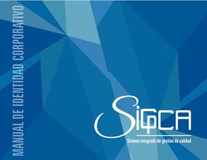 Manual Modificado F1