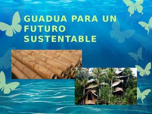 Guadua Para Un Futuro Sustentable