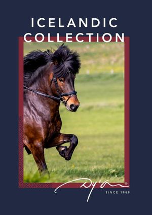 DYON CATALOGUE ICELANDIC EN