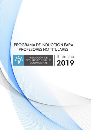 Programa De Induccion Pagina