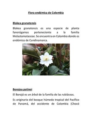 Flora Endémica De Colombia