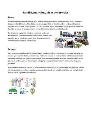 familia, individuo, bienes y servicios