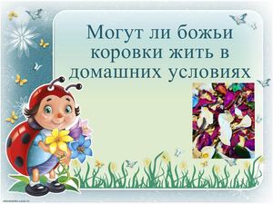 Может ли божья коровка жить в квартире
