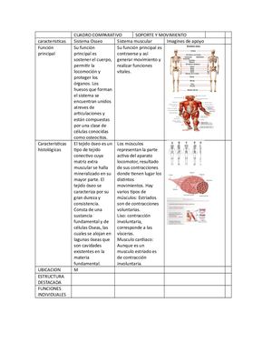 Cuadro Comparativo Blanca Aguas