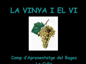 La Vinya I El Vi