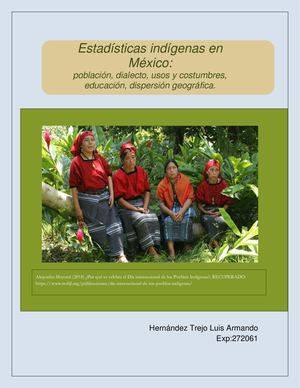 Estadísticas Indígenas En México