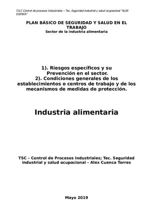 Plan De Trabajo Seguridad Industrial, Planta De Produccion Doña Angela Terminado