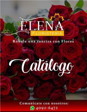 Catalogo Elena