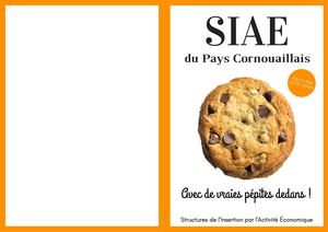 Livret Siae Par Thème(2)