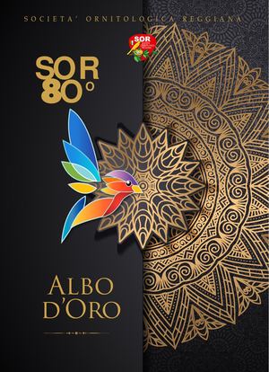 Sor Albo D Oro Low