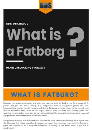 What Is Fatburg