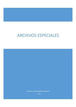Definicion De Archivos Especiales