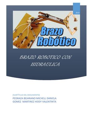 Brazo Hidraulico (1)