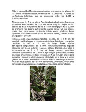 Plantas Endemicas Lorenth