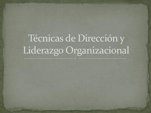 Técnicas De Dirección Y Liderazgo Organizacional