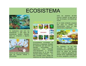 Ecosistema