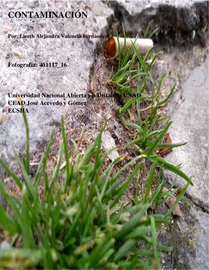 Albúm Fotográfico de la Contaminación