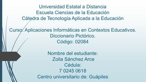 Diccionario Pictórico PDF