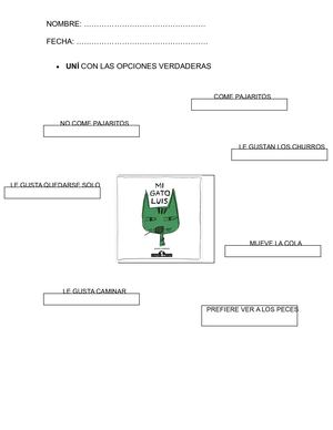 Actividades Del Gato Luis