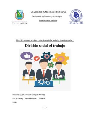 Division Social Del Trabajo