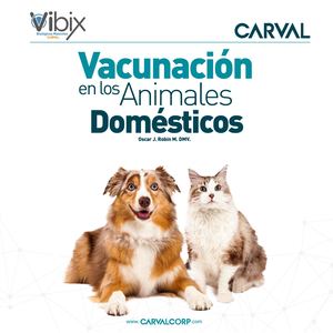 Vacunacion Animales Domes