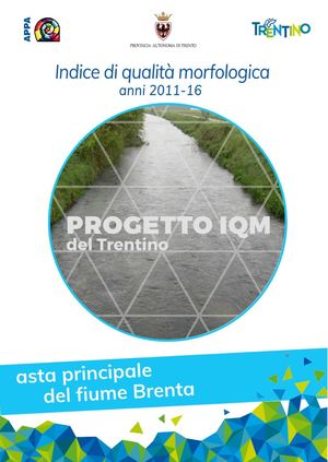 Indice di qualità morfologica