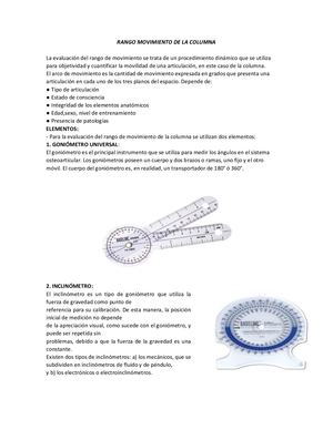 Rango Movimiento De La Columna