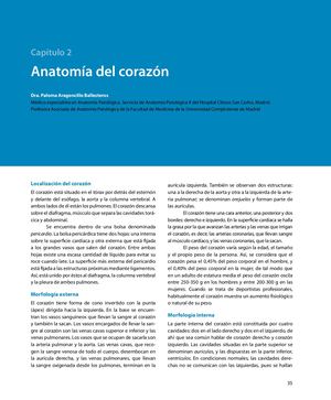 ANATOMÍA DEL CORAZÓN HUMANO