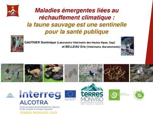 FUTUR - GAUTHIER - Maladies émergentes liées au réchauffement climatique : la faune sauvage est une sentinelle pour la santé publique