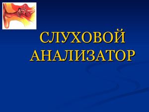 Орган слуха для ЗНО